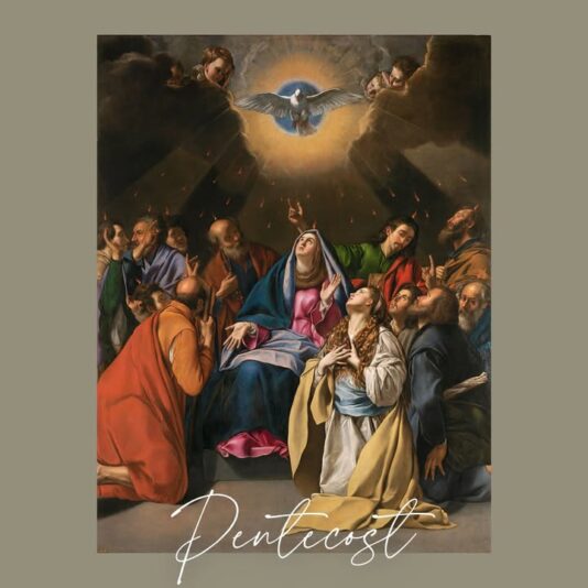 fb-1669188376658004_1324777576315235