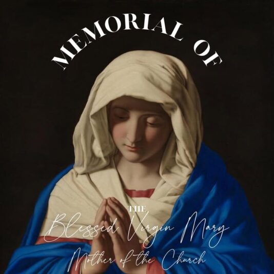 fb-1669188376658004_1325619892897670