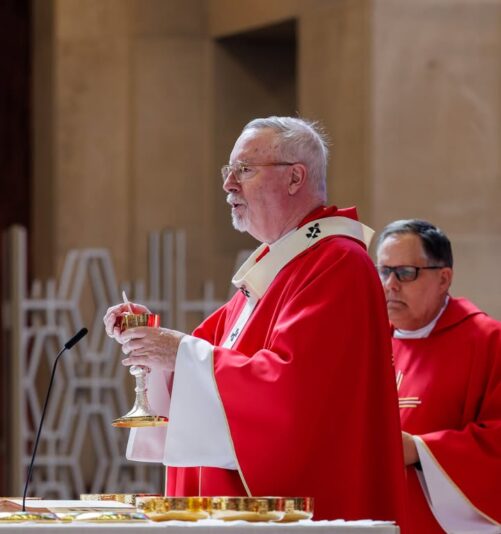 fb-424801330909662_1142707377882938