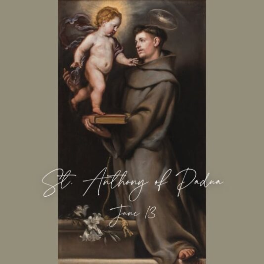 fb-1669188376658004_1329283762531283