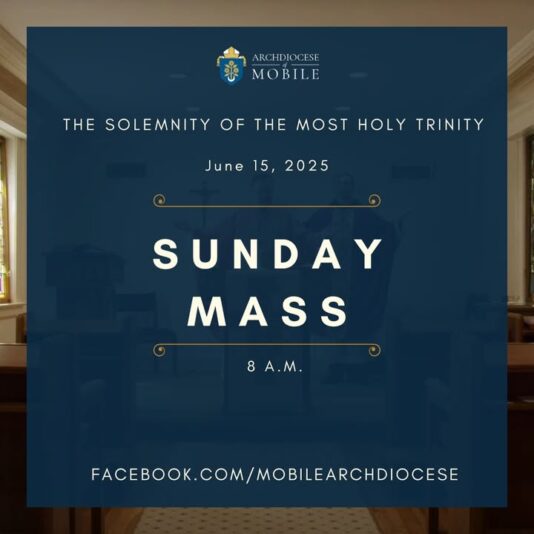 fb-1669188376658004_1330243192435340