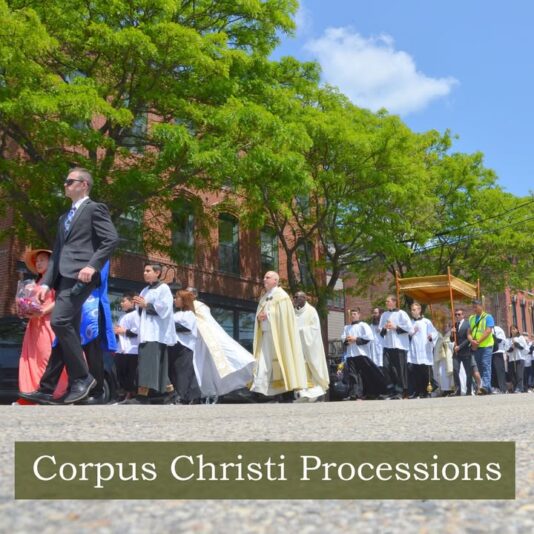 fb-116343758405910_1138069235017316