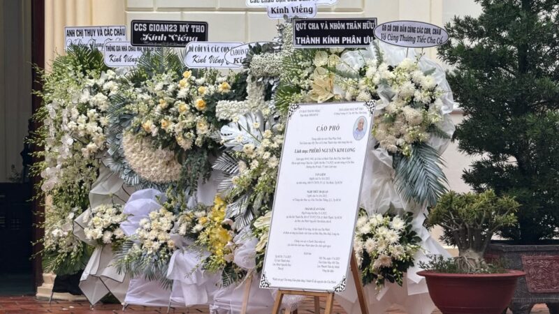 fb-1407235966182611_1032585539018815