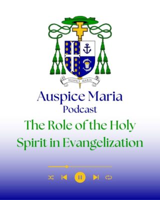 fb-116343758405910_1139024271588479