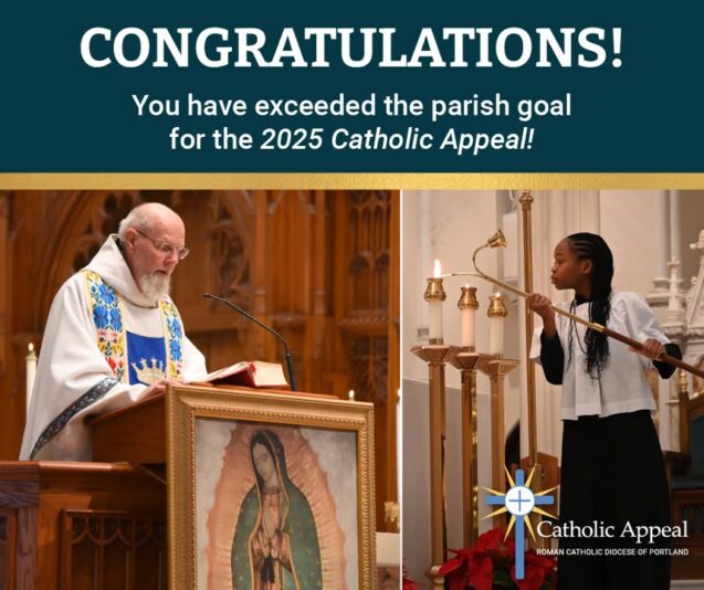 fb-116343758405910_1140316101459296