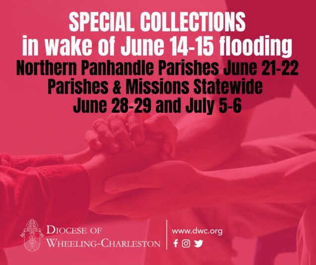 fb-326791086980_1137170241784891