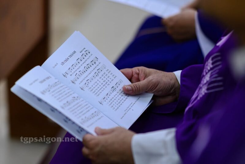 fb-1407235966182611_1034839128793456