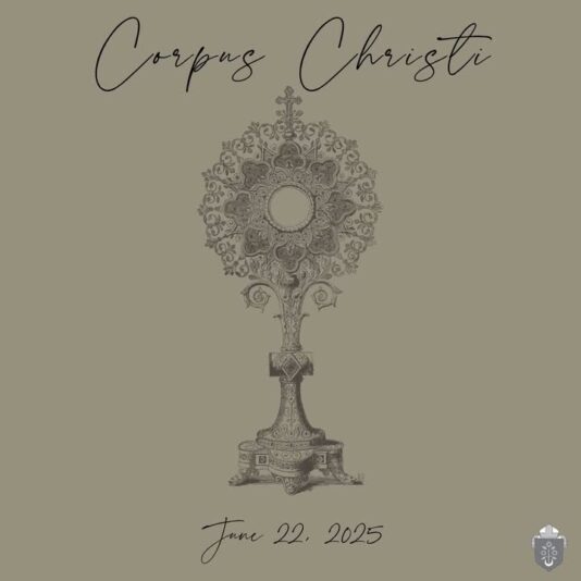 fb-1669188376658004_1337141508412175