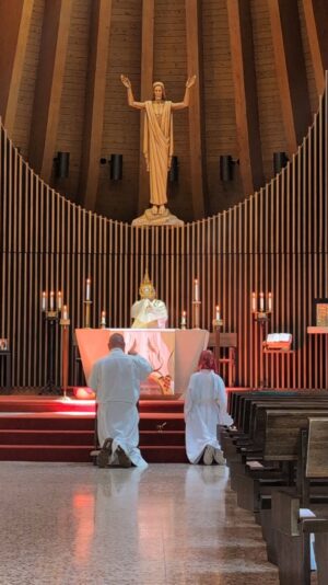 fb-355703527834405_1177715647732572