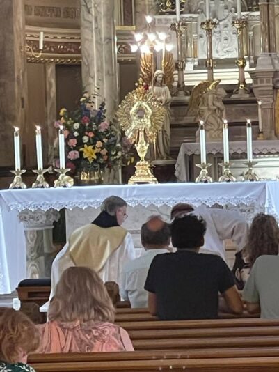 fb-355703527834405_1177713094399494