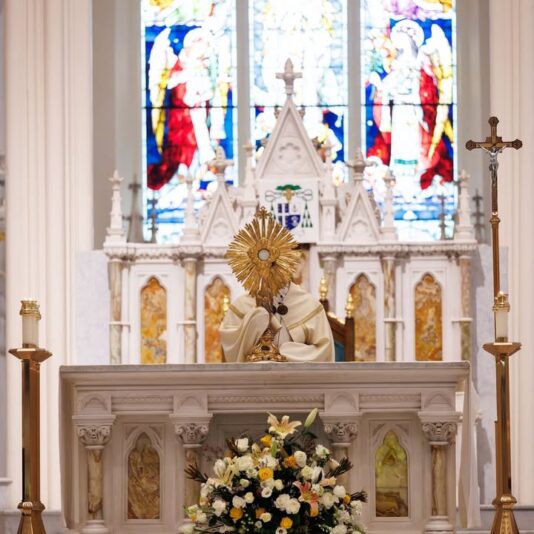 fb-116343758405910_1143046841186222