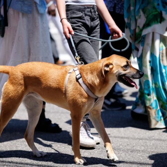 fb-116343758405910_1143046841186222