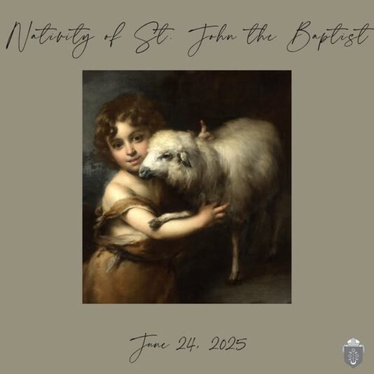 fb-1669188376658004_1338970901562569