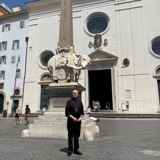 fb-355703527834405_1181532324017571