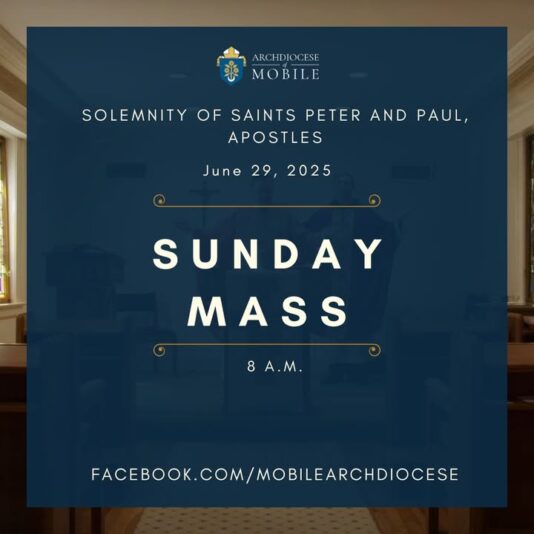 fb-1669188376658004_1342694694523523