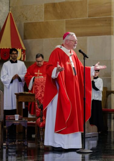 fb-424801330909662_1155678396585836