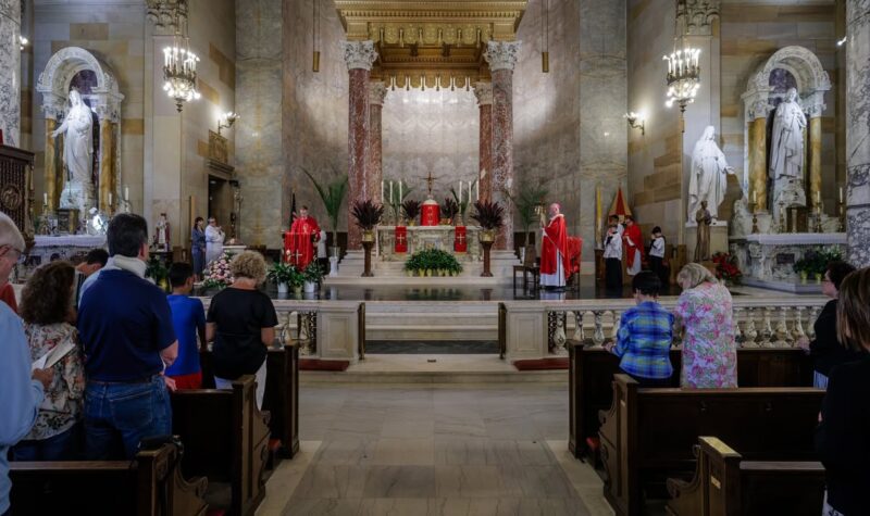 fb-424801330909662_1155678396585836