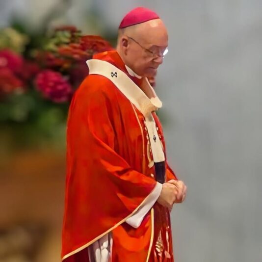 fb-355703527834405_1182719820565488