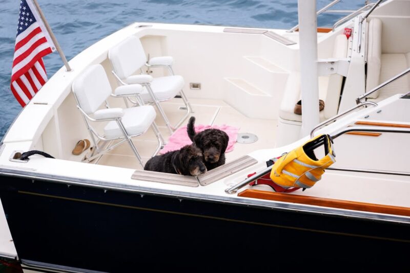 fb-116343758405910_1150444797113093