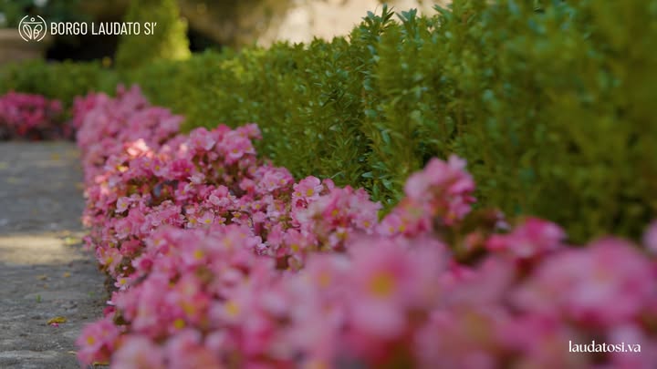 fb-1407235966182611_1043911081219594