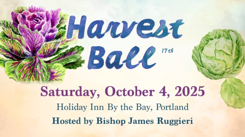 fb-116343758405910_1151727573651482