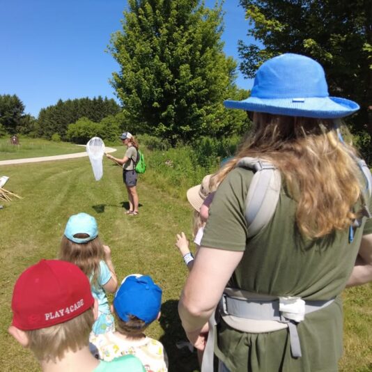 fb-355703527834405_1188023373368466