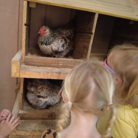 fb-355703527834405_1188023373368466