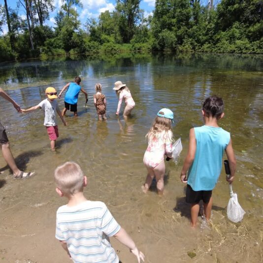 fb-355703527834405_1188023373368466