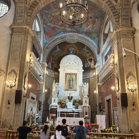 fb-1669188376658004_1351472473645745