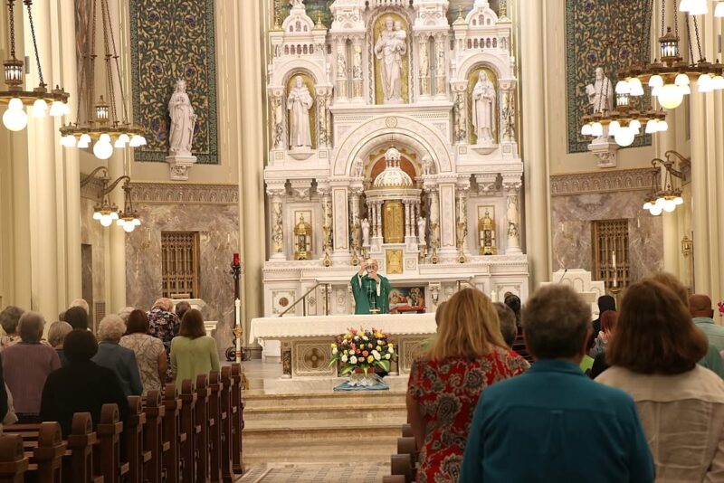 fb-355703527834405_1190909709746499