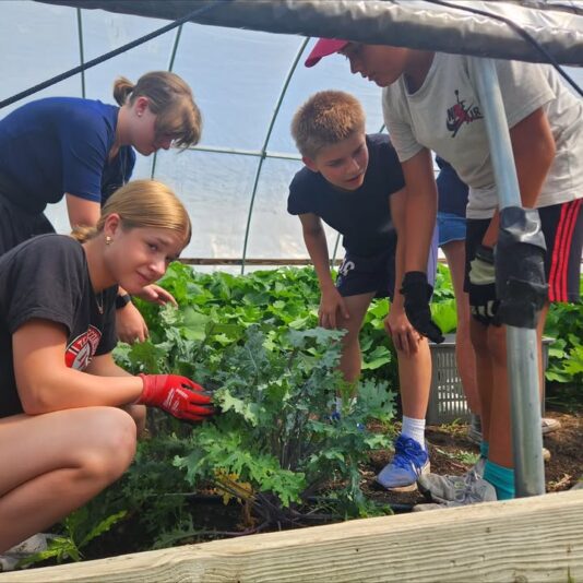 fb-355703527834405_1192799409557529