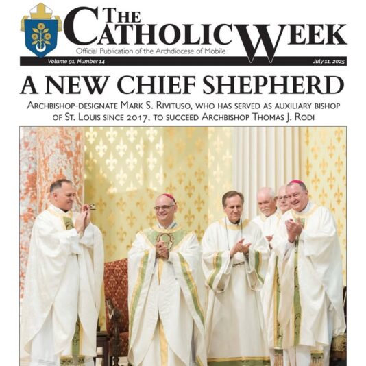 fb-1669188376658004_1355198163273176