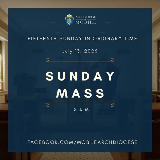 fb-1669188376658004_1355892033203789