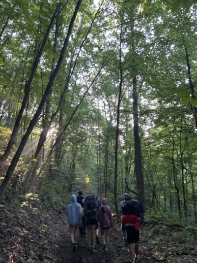 fb-326791086980_1156252573209991