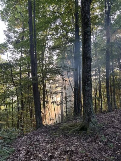 fb-326791086980_1156252573209991