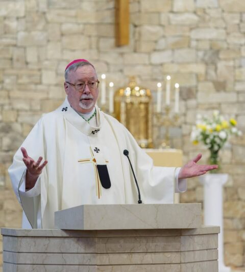 fb-424801330909662_1173085178178491