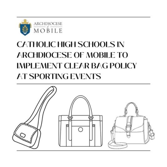 fb-1669188376658004_1364044642388528