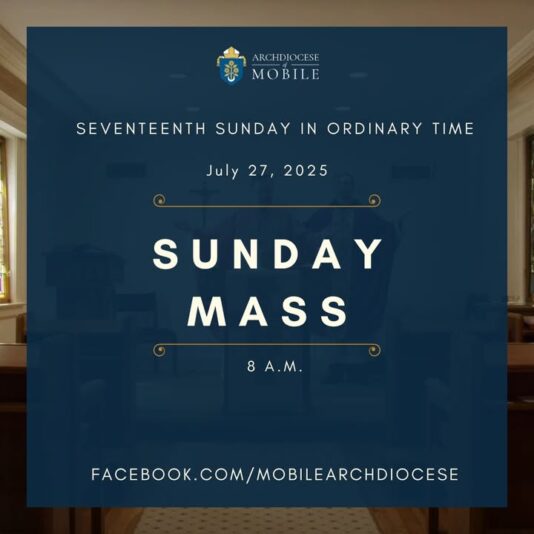 fb-1669188376658004_1368361105290215