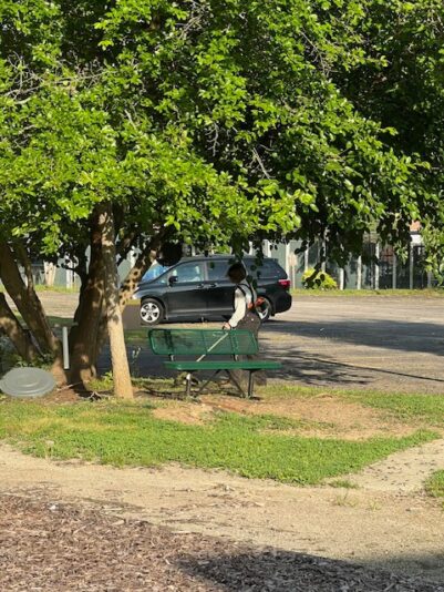 fb-326791086980_1167407388761176