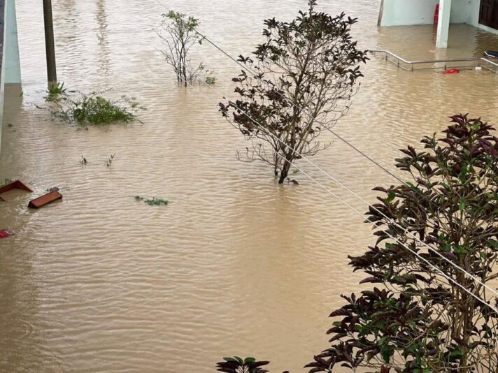 fb-122977574543611_1182658627304946