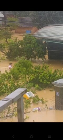 fb-422222558355253_1290864746417322