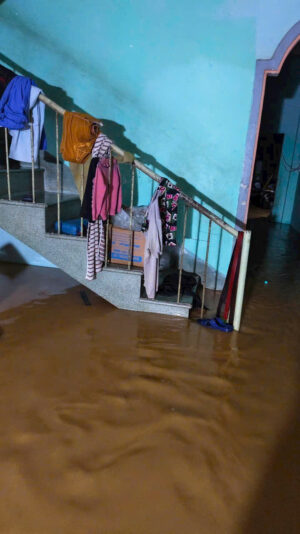 fb-422222558355253_1290864746417322