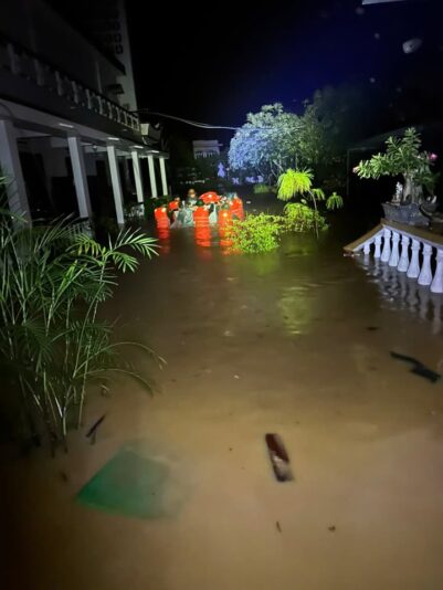 fb-422222558355253_1290863273084136