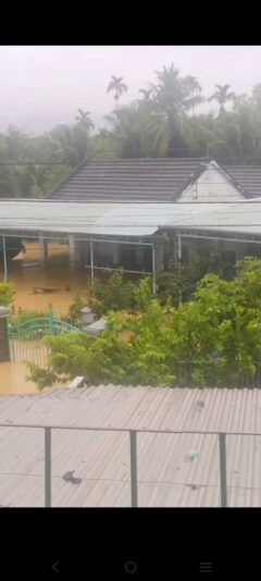 fb-422222558355253_1290864746417322