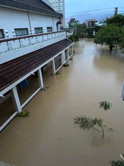 fb-422222558355253_1290863273084136