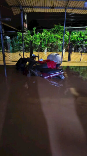 fb-422222558355253_1290864746417322