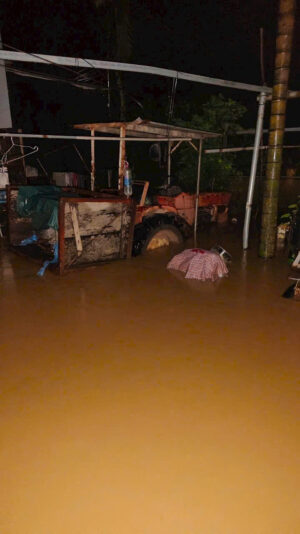 fb-422222558355253_1290864746417322