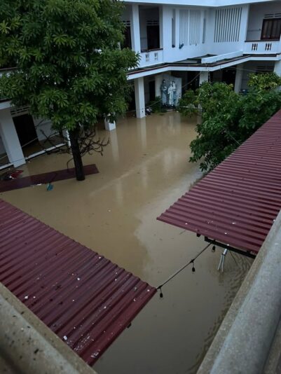 fb-422222558355253_1290863273084136