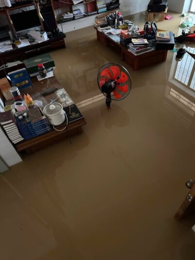 fb-422222558355253_1290863273084136