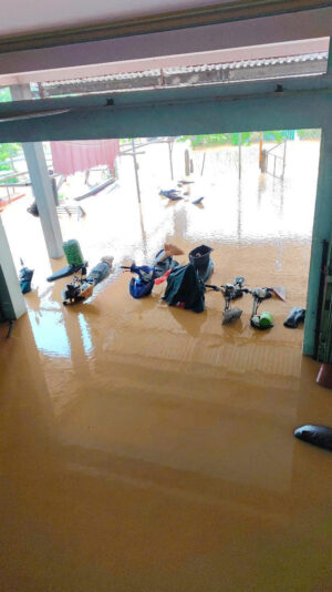 fb-422222558355253_1290864746417322